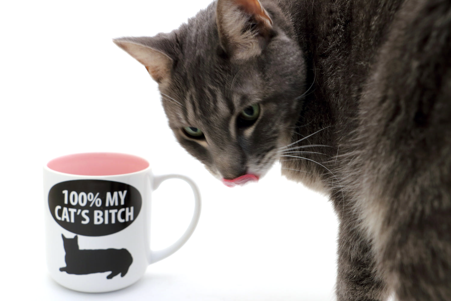 100% My Cat's Bitch mug