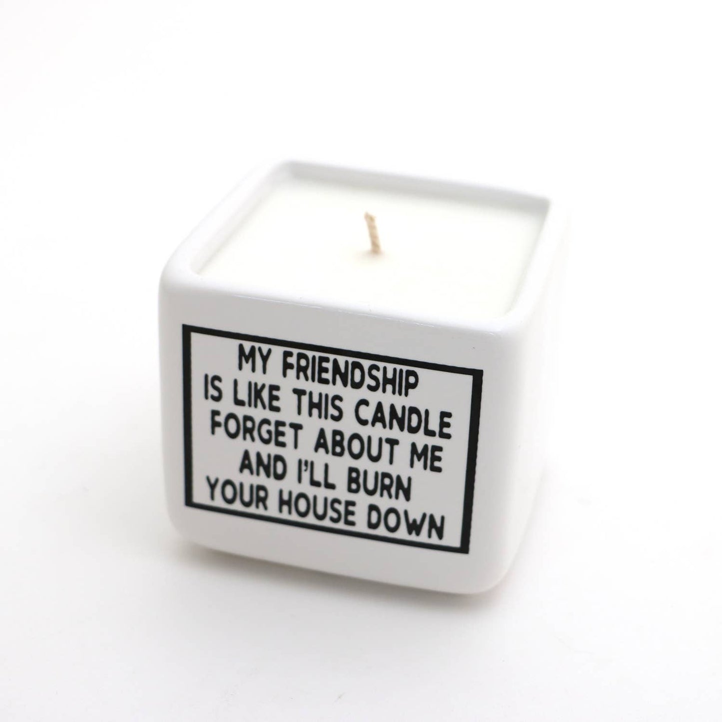Hand poured 8 oz. soy unscented candle, My Friendship, funny
