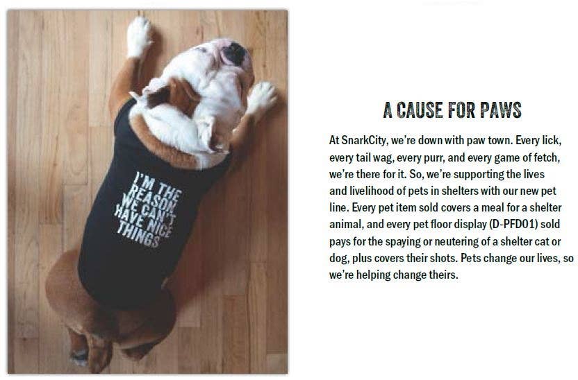 You Had Me At Food Pet Bowl