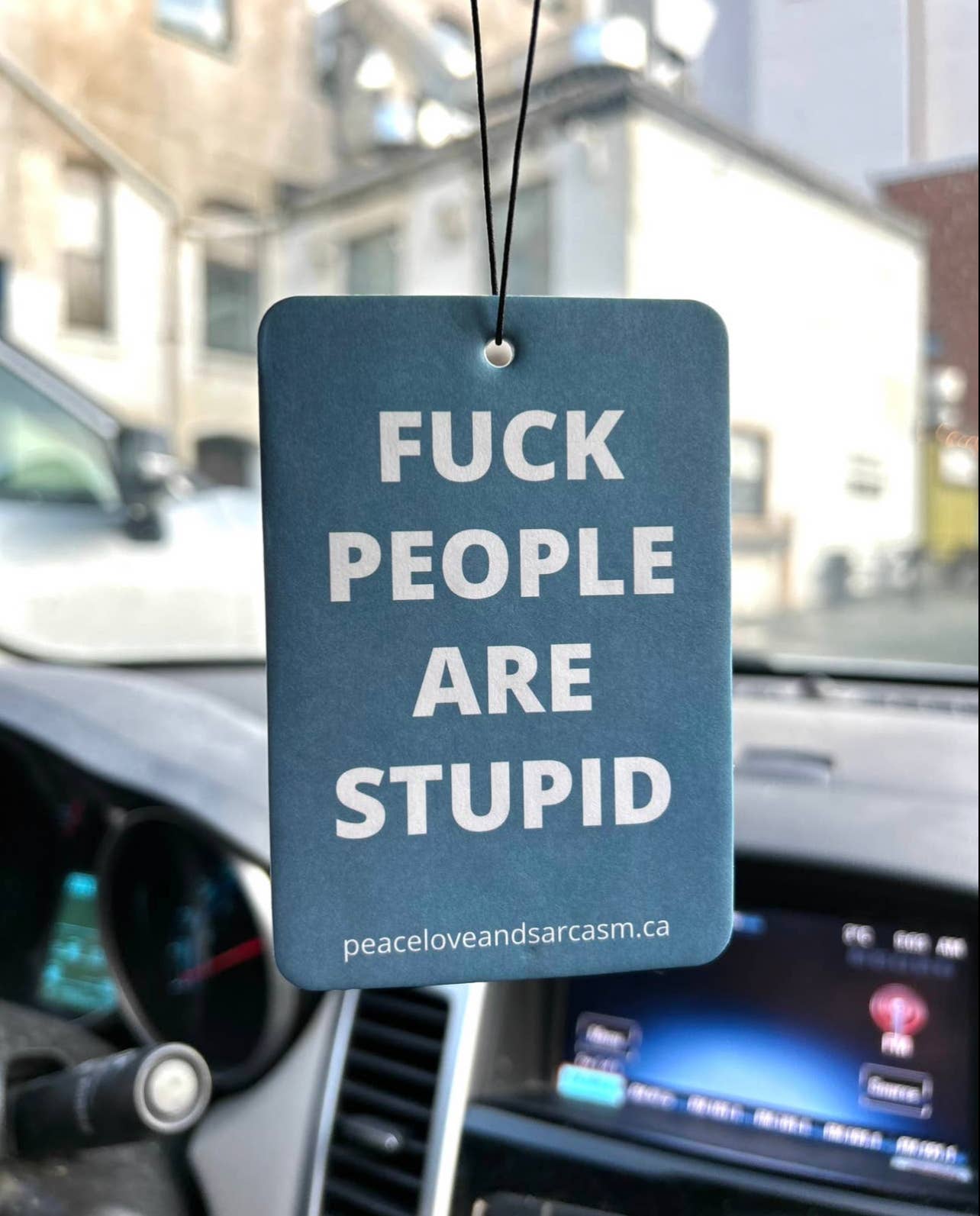 Fuck People Are Stupid Air Freshener