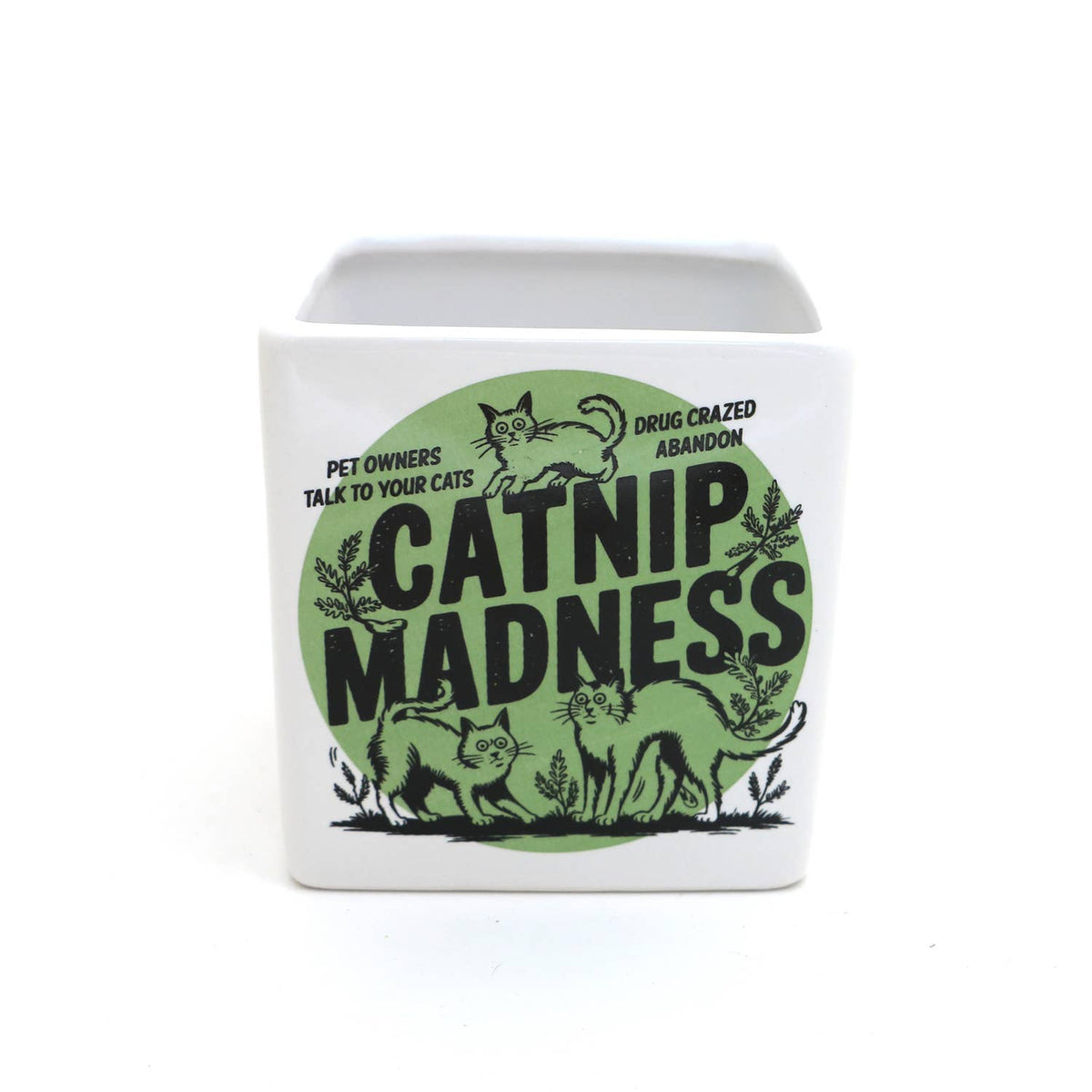 Catnip Madness Cat planter, small indoor planter