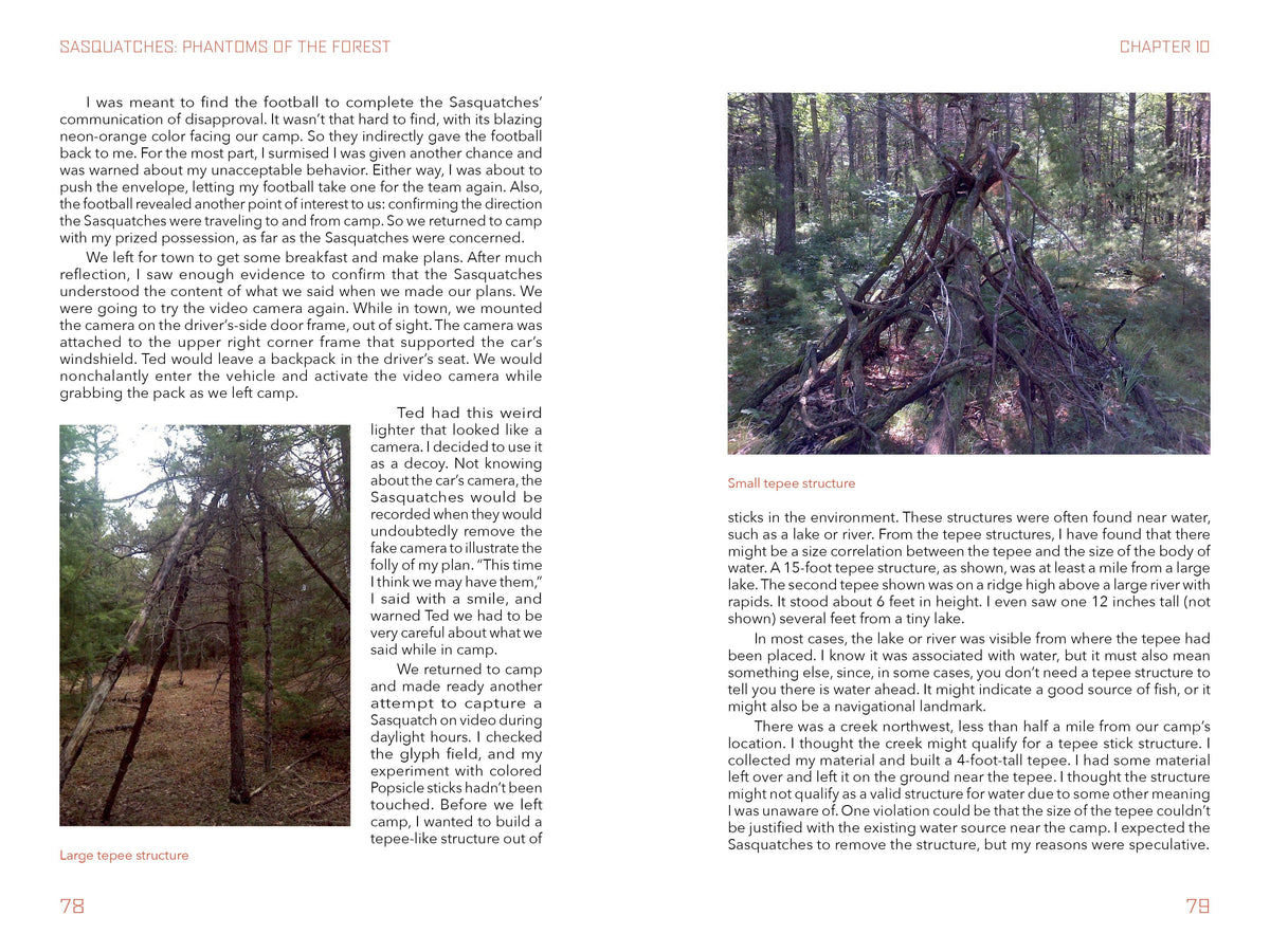 Sasquatches: Phantoms of the Forest