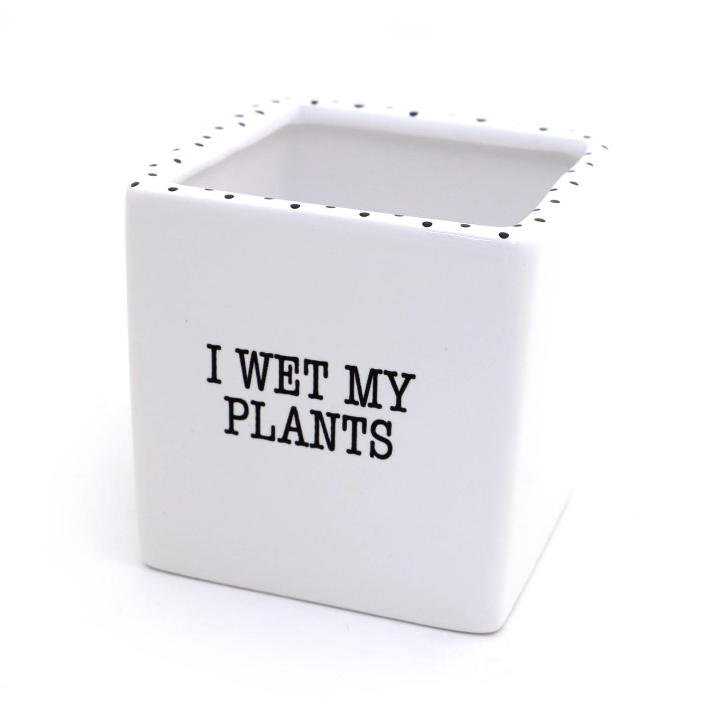 I Wet my Plants planter, pencil cup, square pot