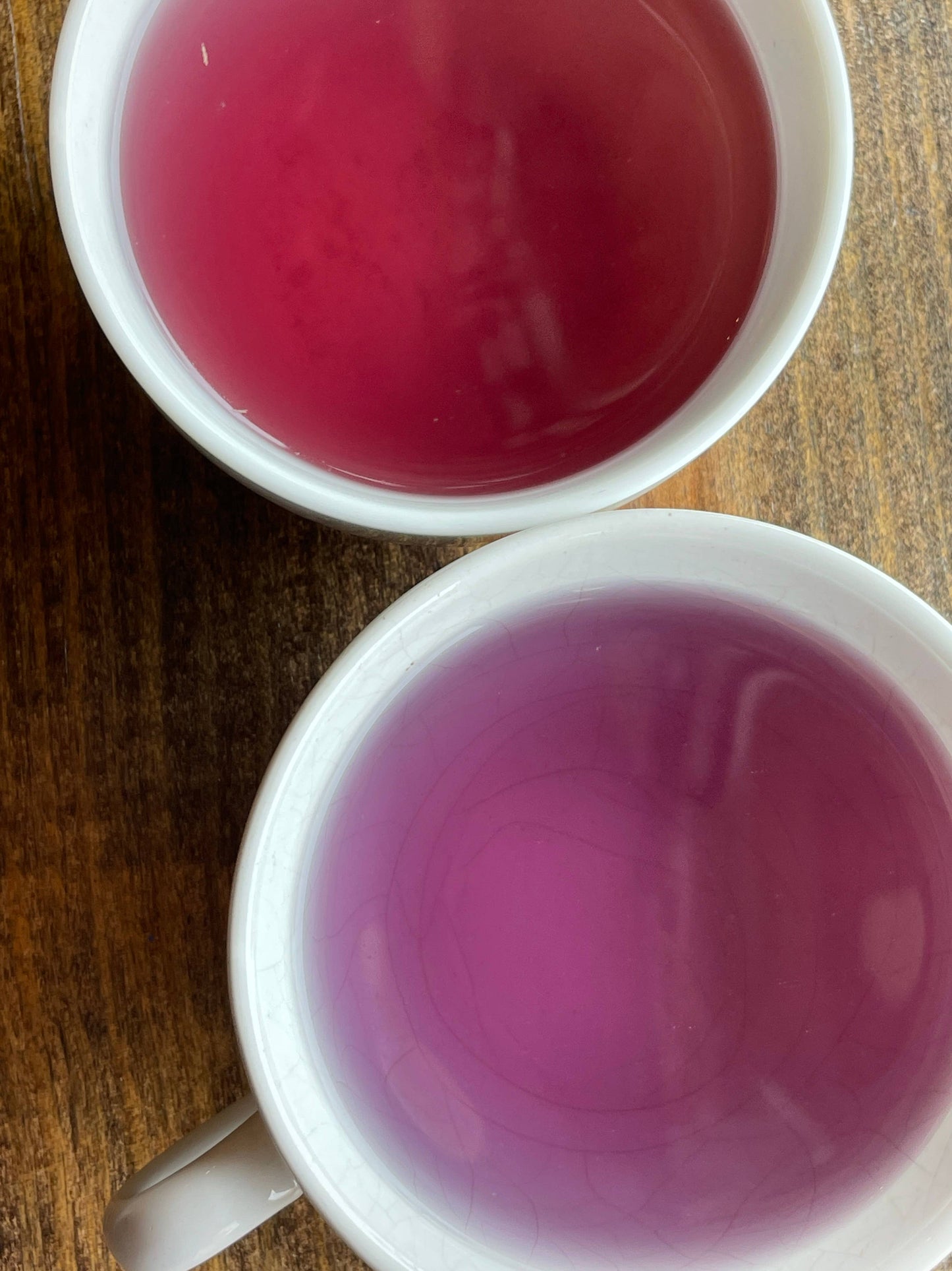 Sea Witch Cherry Coconut Fruit Tea