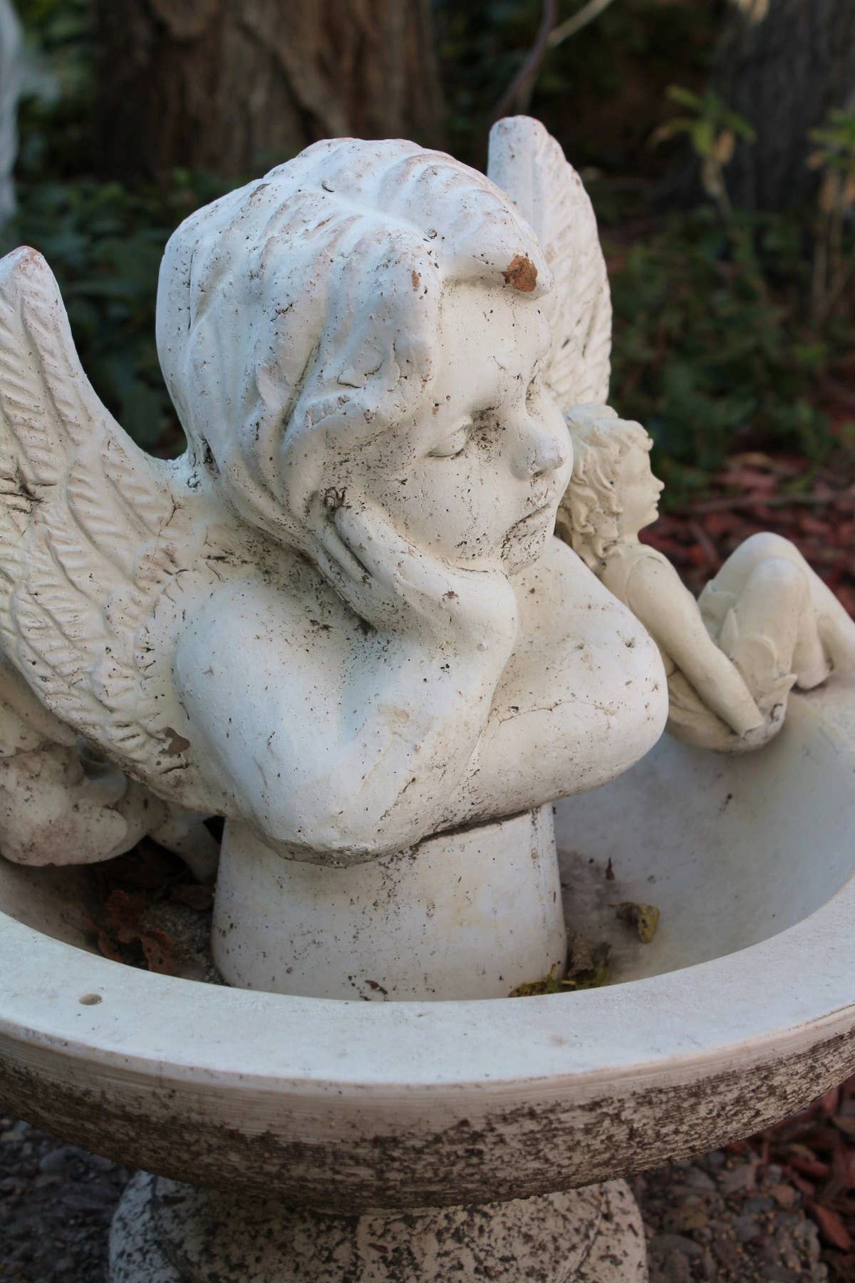Cherubim Oil – Angel-like Heavenly Beings