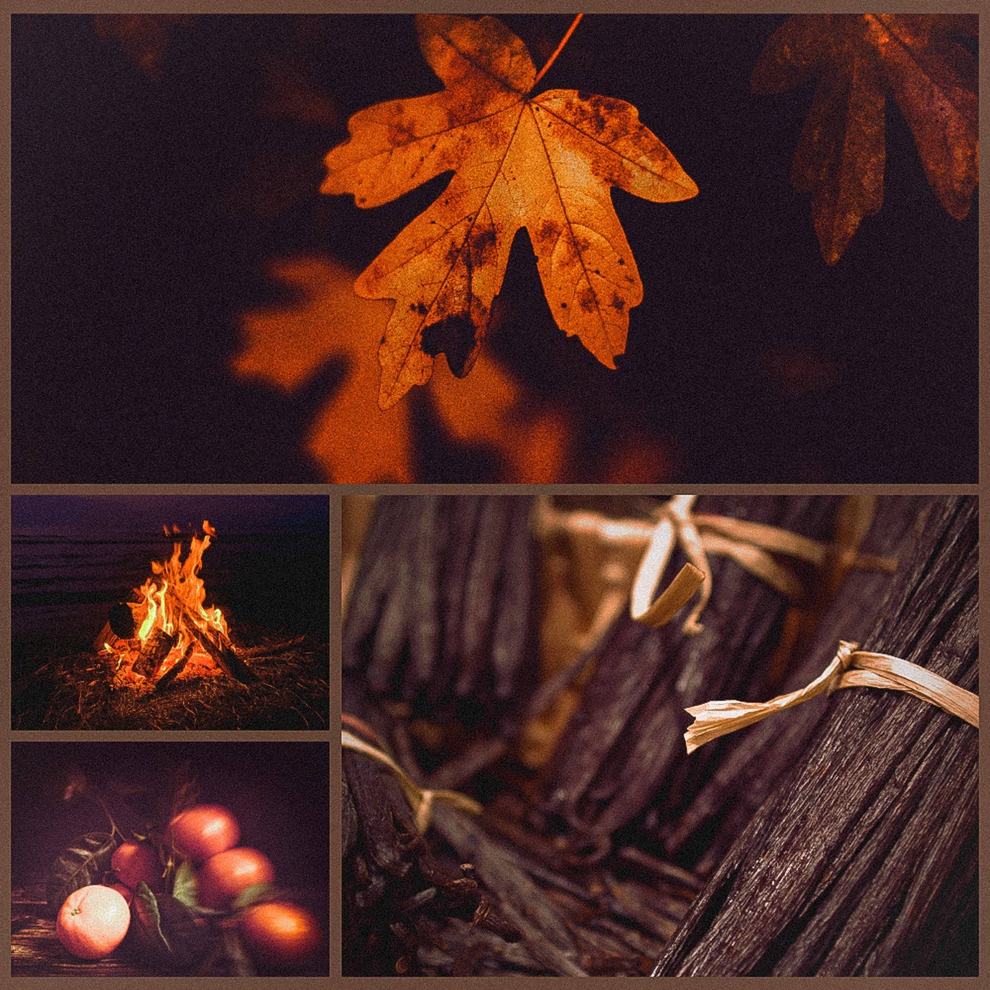 Samhain Solid Scent