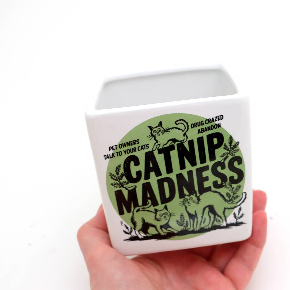 Catnip Madness Cat planter, small indoor planter