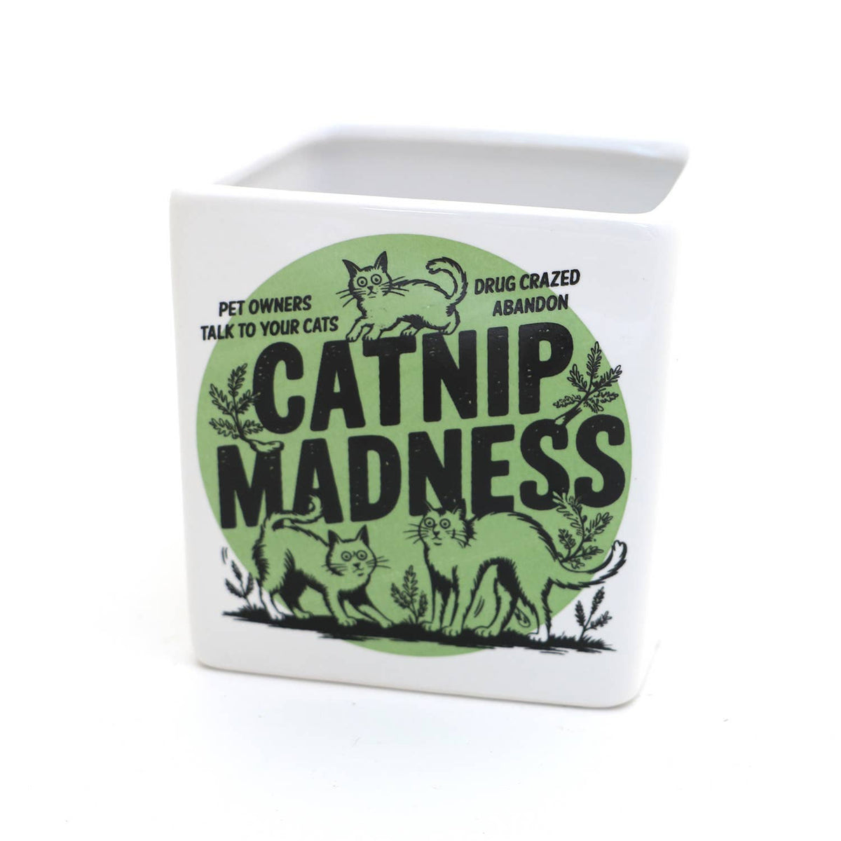 Catnip Madness Cat planter, small indoor planter