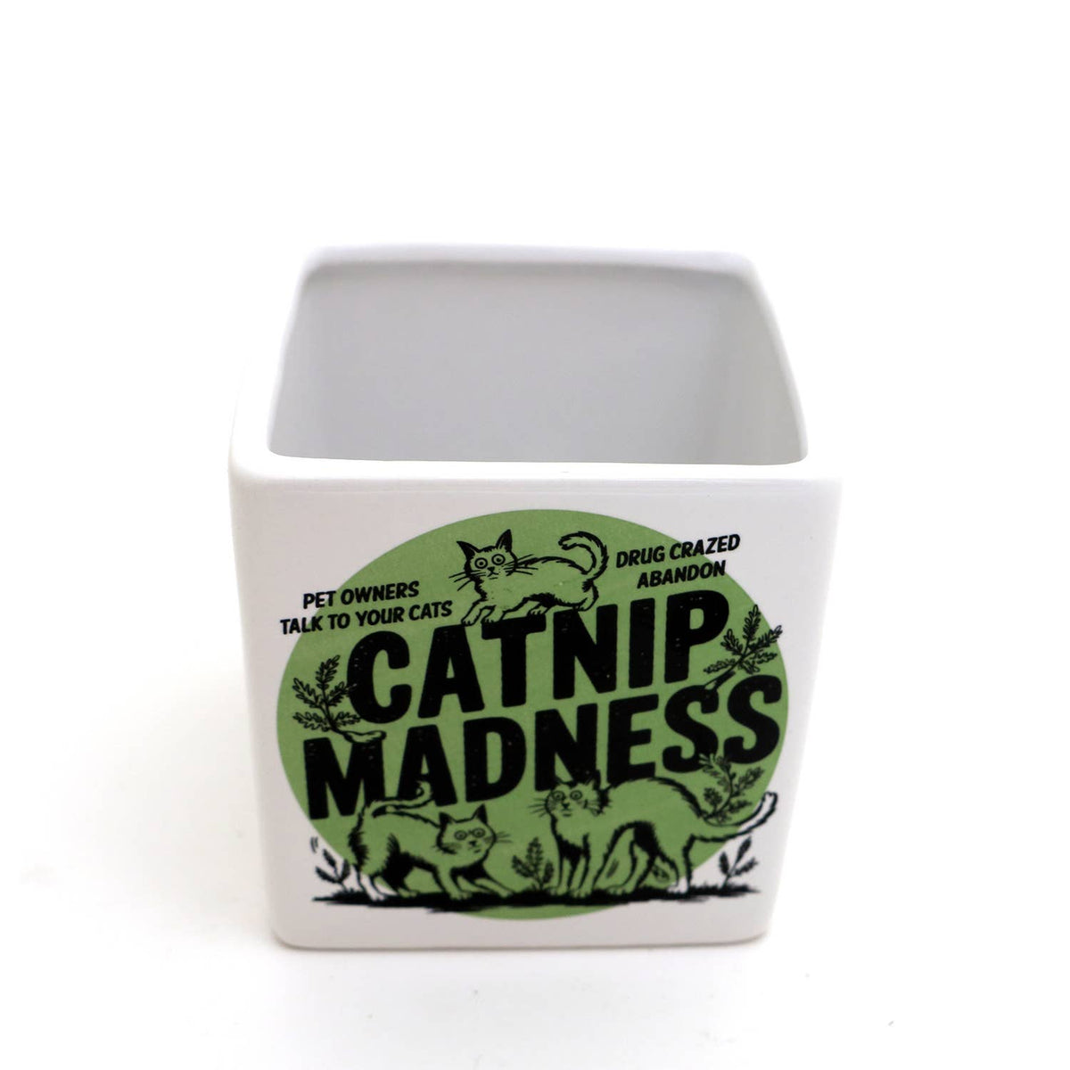 Catnip Madness Cat planter, small indoor planter