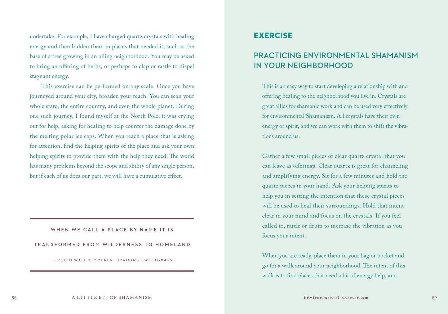 A Little Bit of Shamanism by Ana Campos