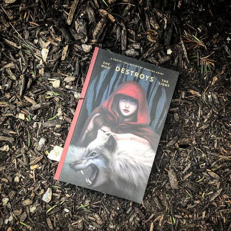 She Who Destroys The Light: Fairy Tales Gone Wrong - book