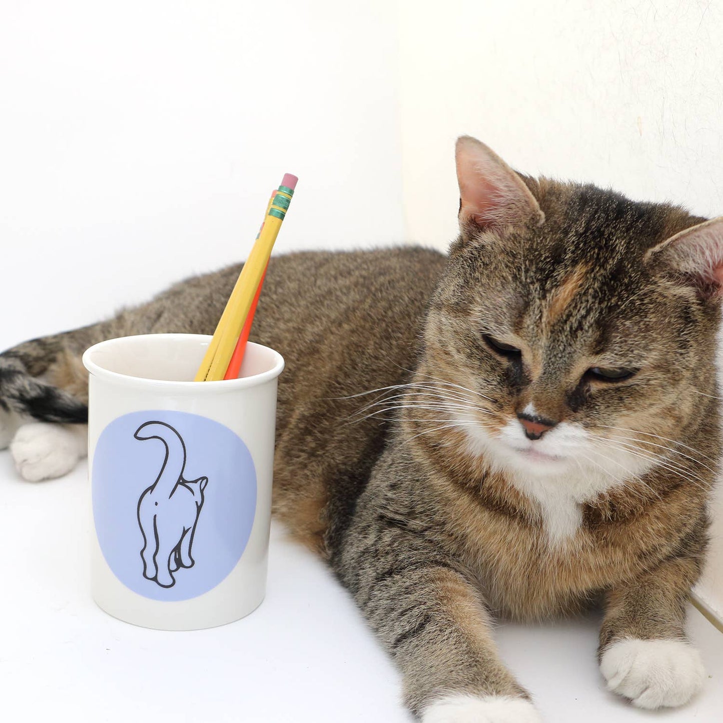 Pen and pencil holder, cat butt, brush cup or small vase