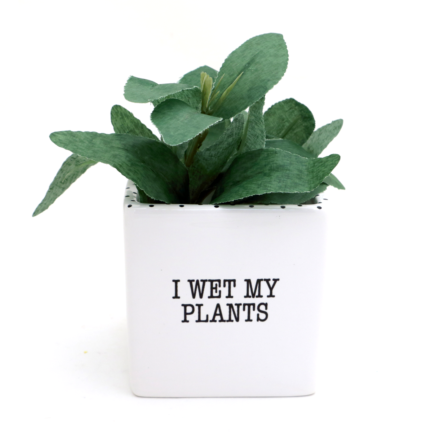 I Wet my Plants planter, pencil cup, square pot