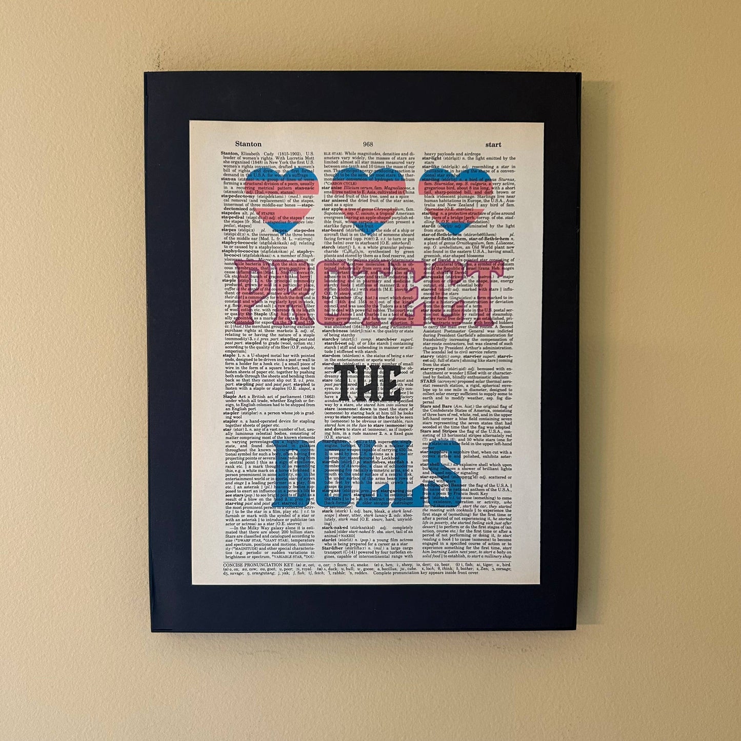 Protect the dolls | Dictionary | Vintage Book Art 