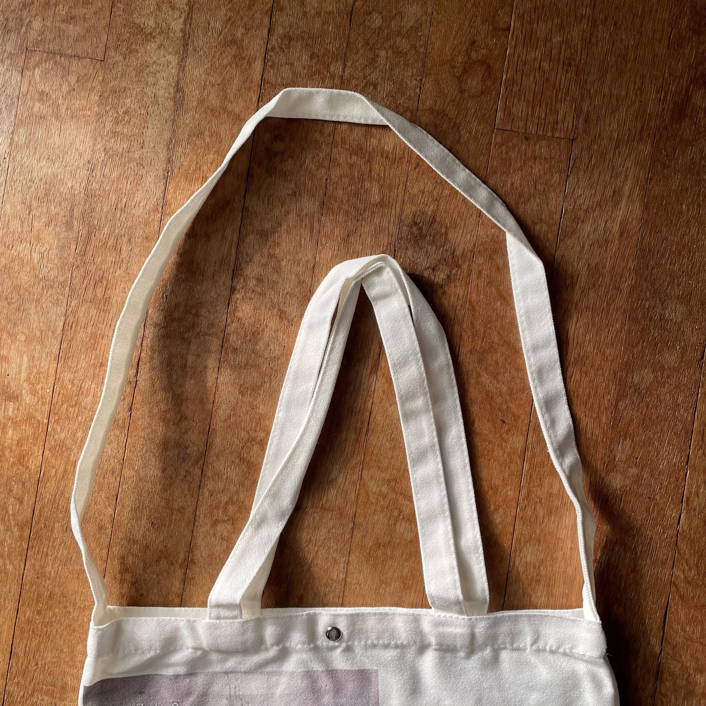 Big House Tote and Grocery Bag, Carole doesn't get drunk...