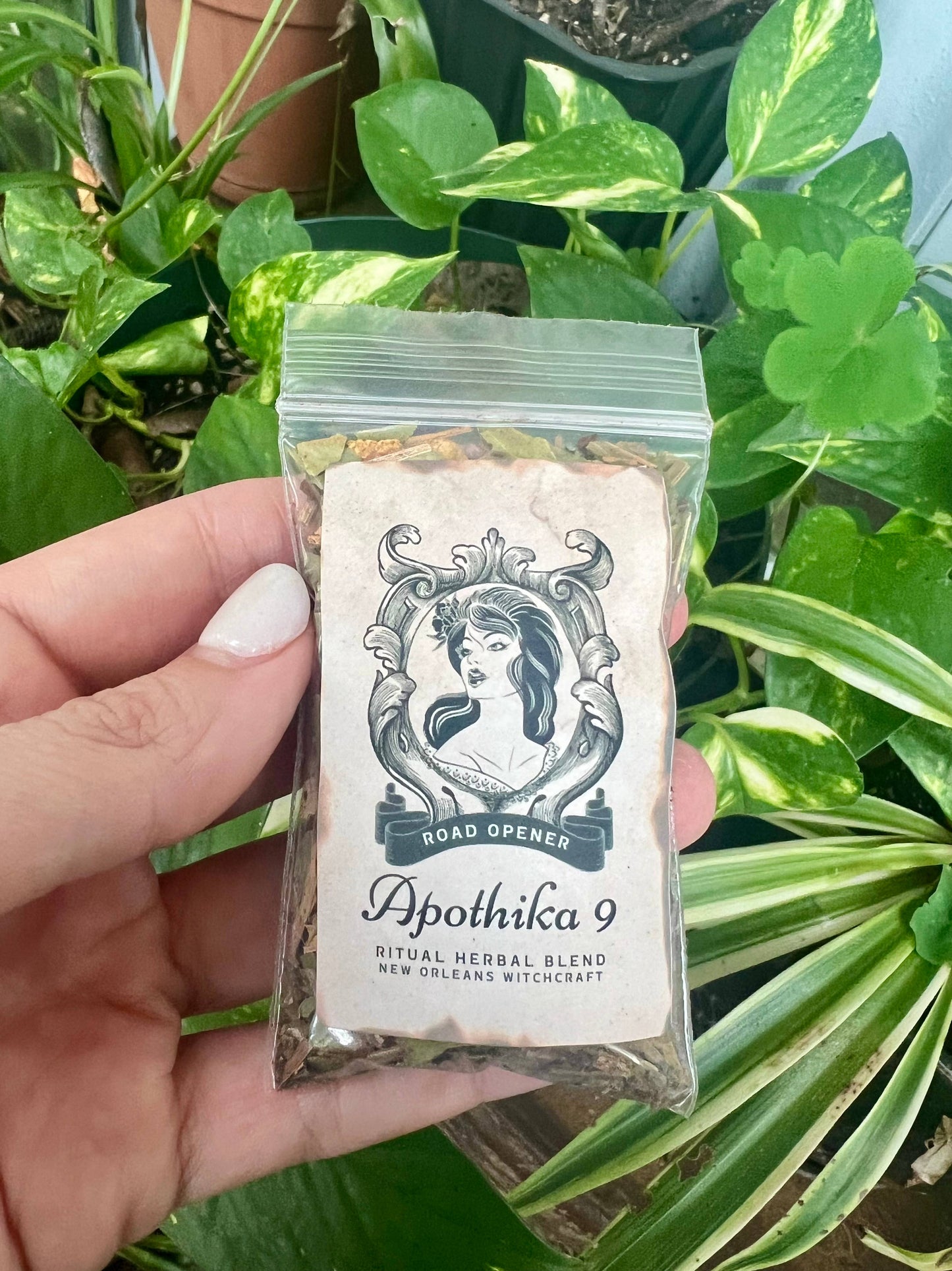 Road Opener Spell Kit- Abundance, Clarity & Growth