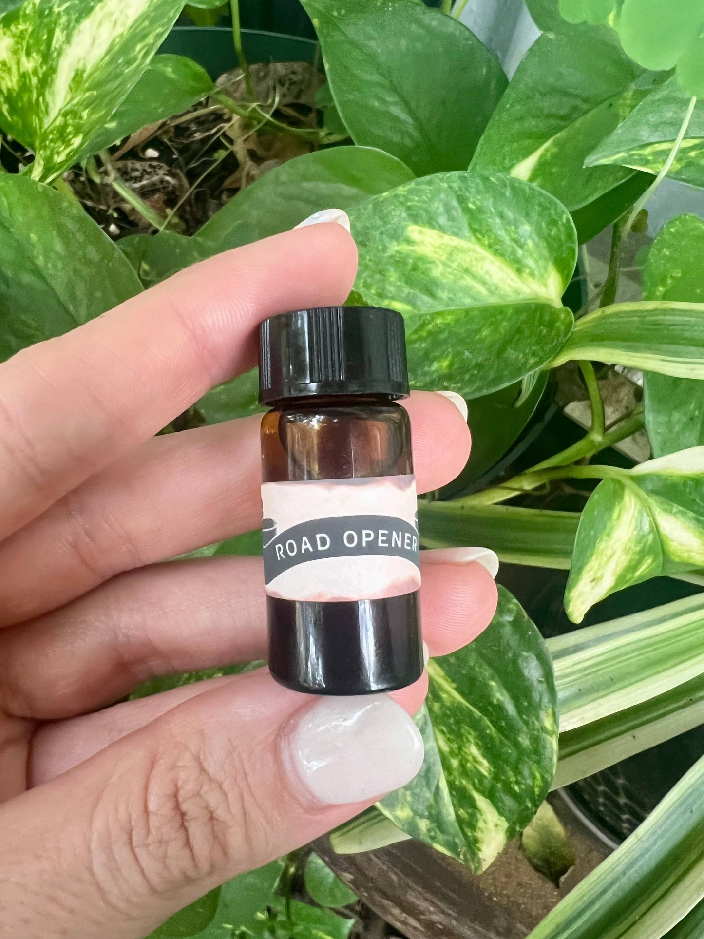 Road Opener Spell Kit- Abundance, Clarity & Growth