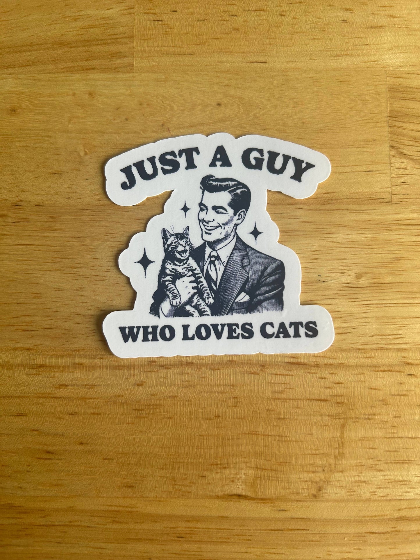 Just a Guy Who Loves Cats