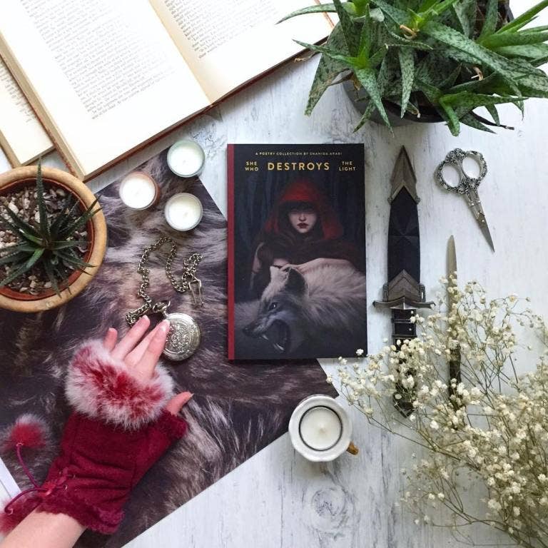 She Who Destroys The Light: Fairy Tales Gone Wrong - book