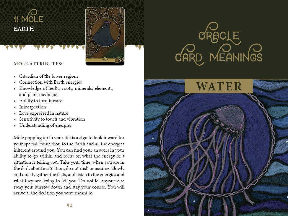 The Wild Elemental Oracle