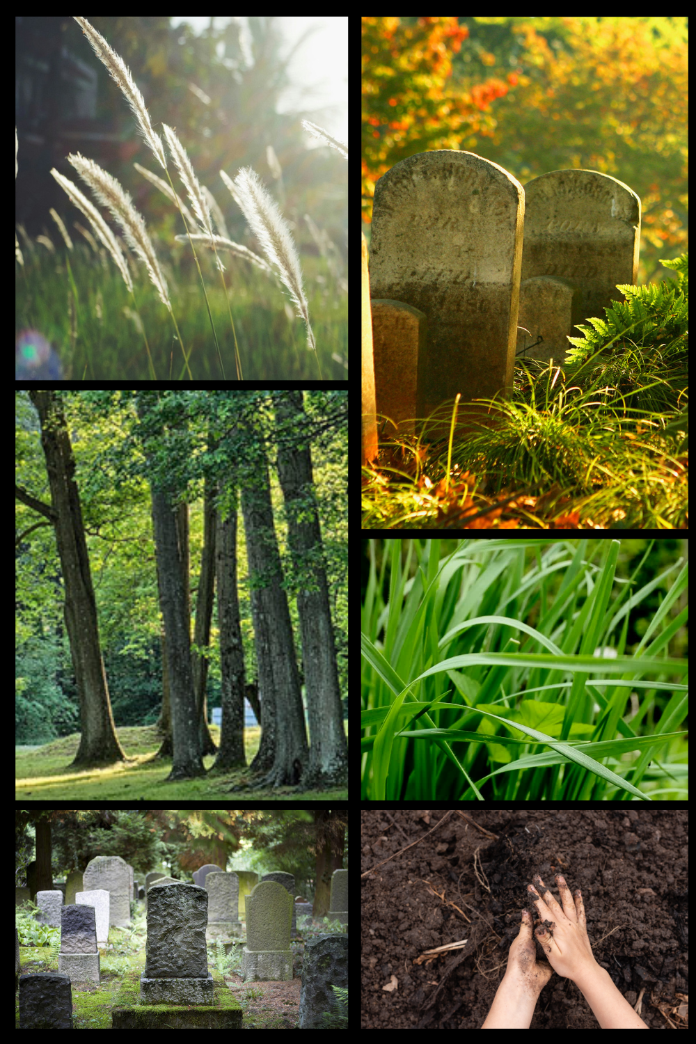 Cemetery - Gothic Perfume Oil - Grass Scented