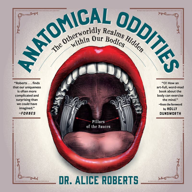 Anatomical Oddities