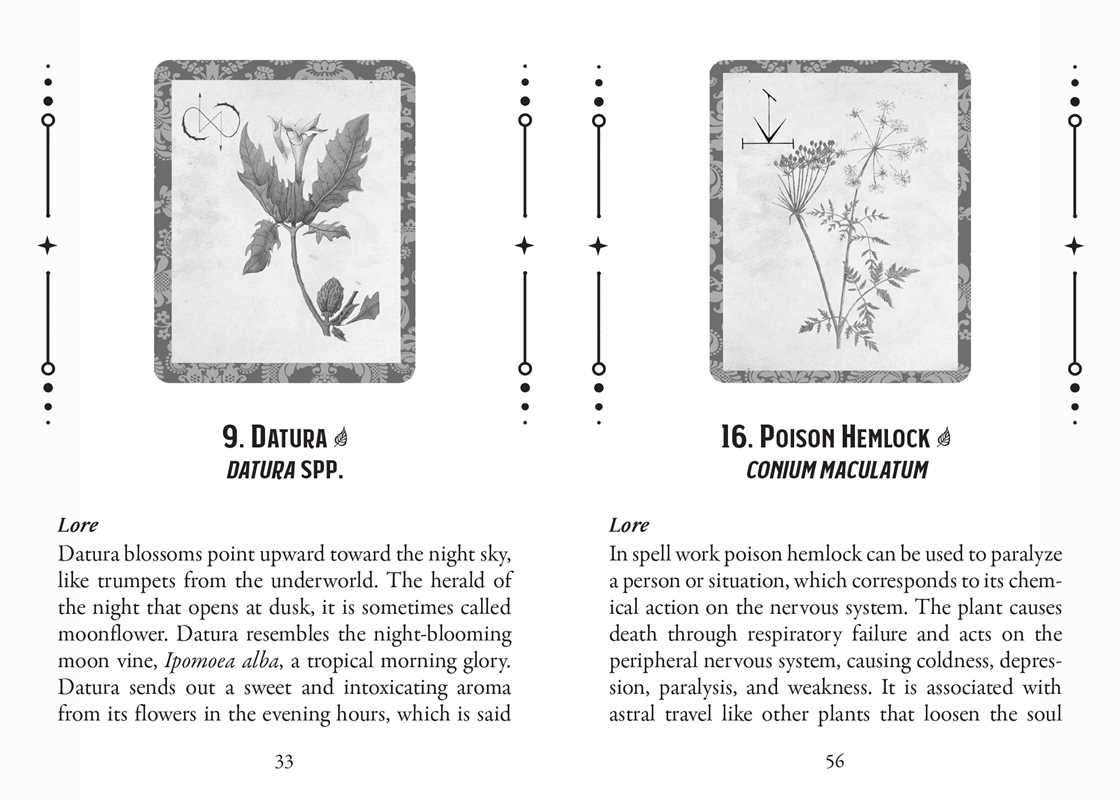 Poison Path Oracle Deck by Coby Michael