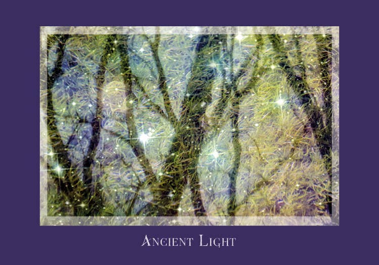 Gaia's Vision Oracle Cards