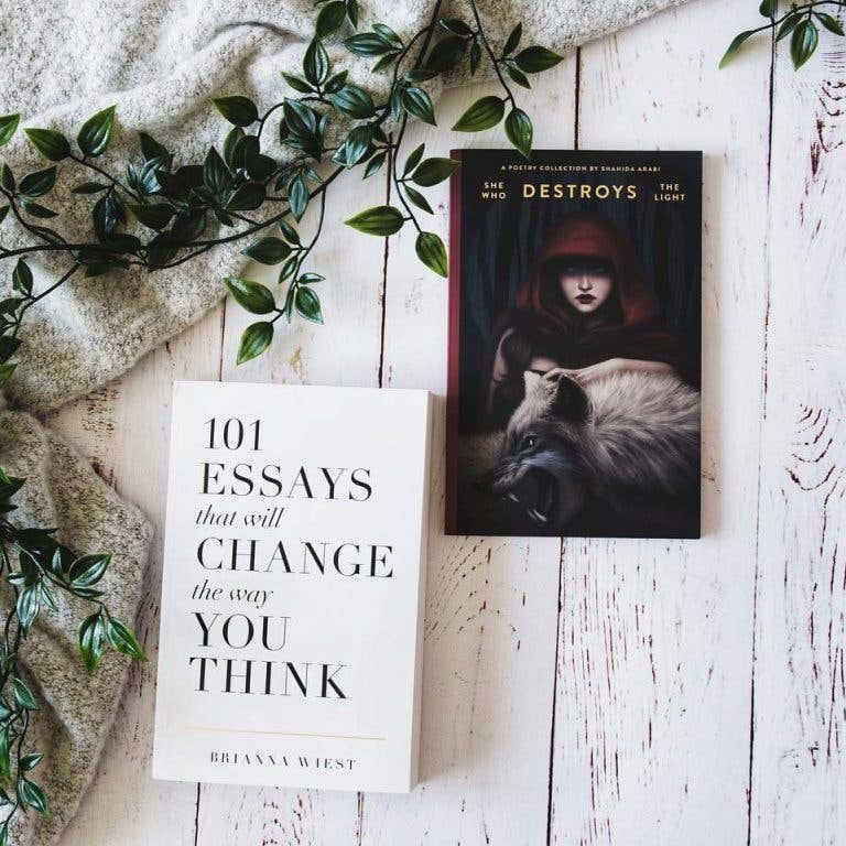 She Who Destroys The Light: Fairy Tales Gone Wrong - book