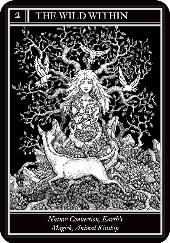 Coven Oracle by Fiona Horne