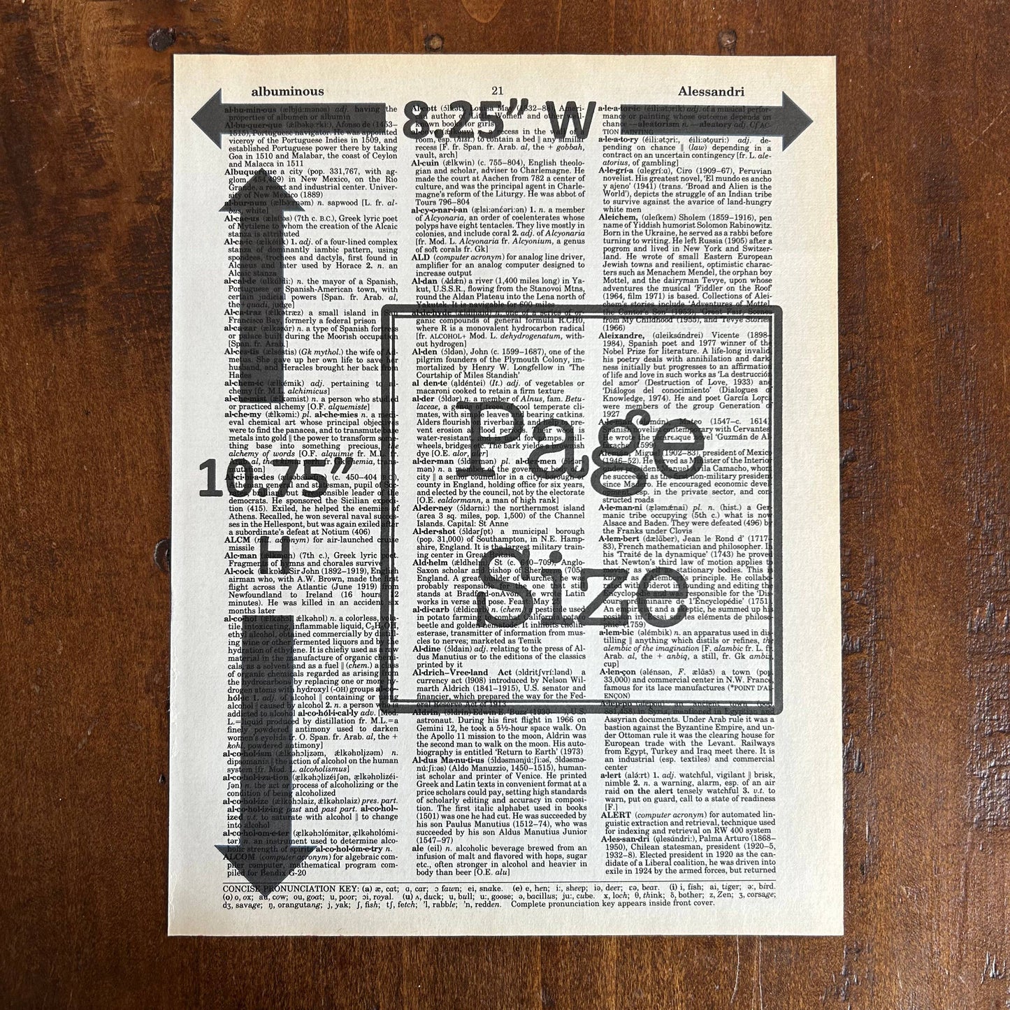 It begins with absence | Dictionary Print | Vintage Book Art