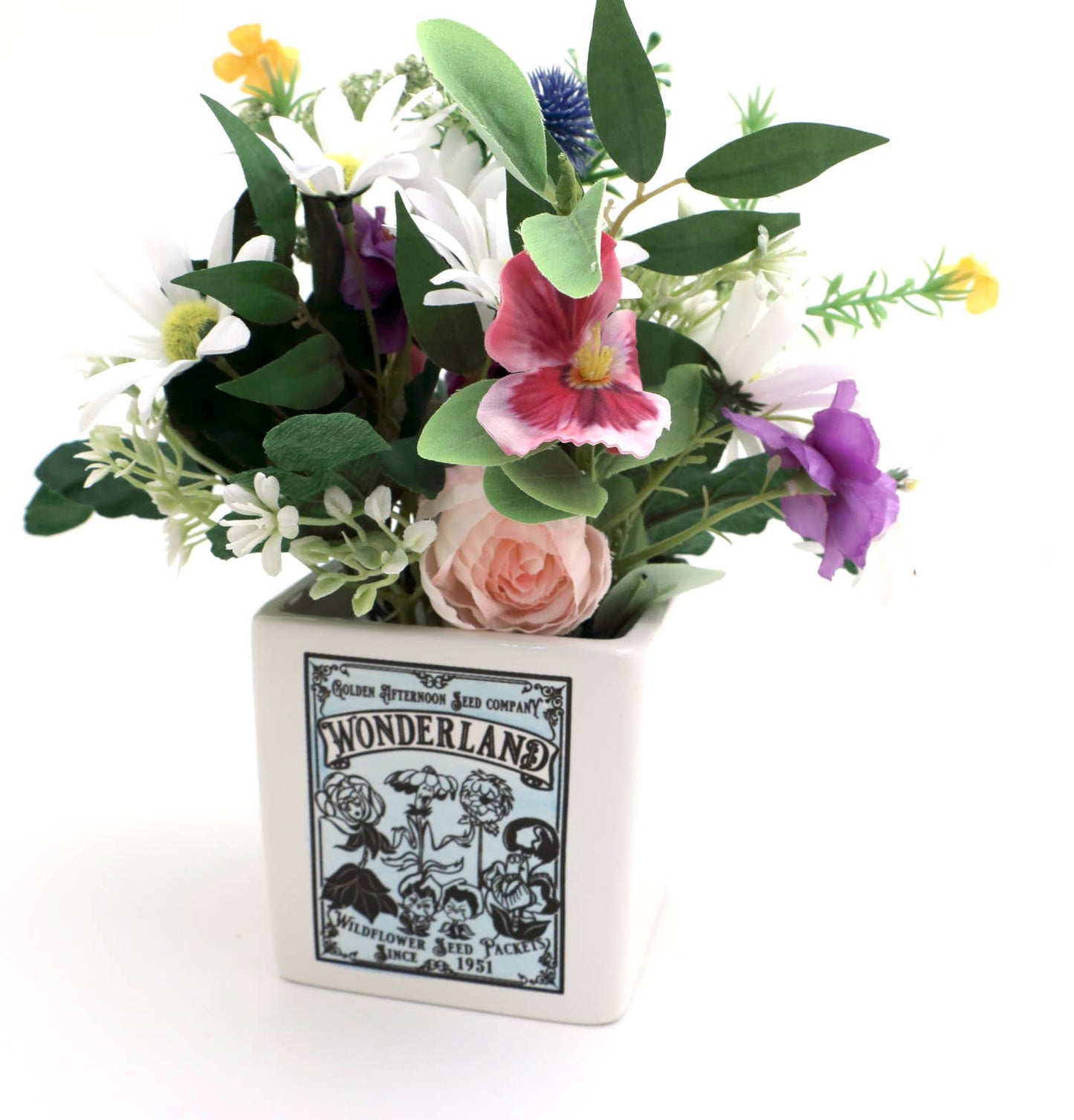 Alice in Wonderland, indoor planter, container