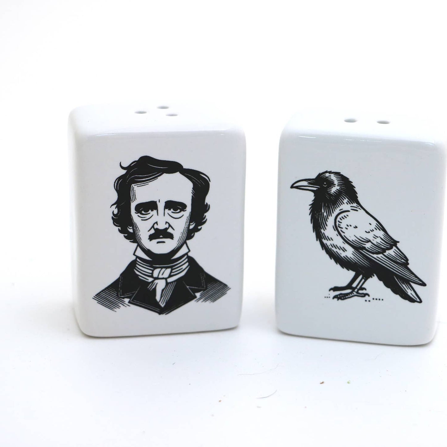 Edgar Allan Poe salt and pepper shakers, Poe and Raven, gift