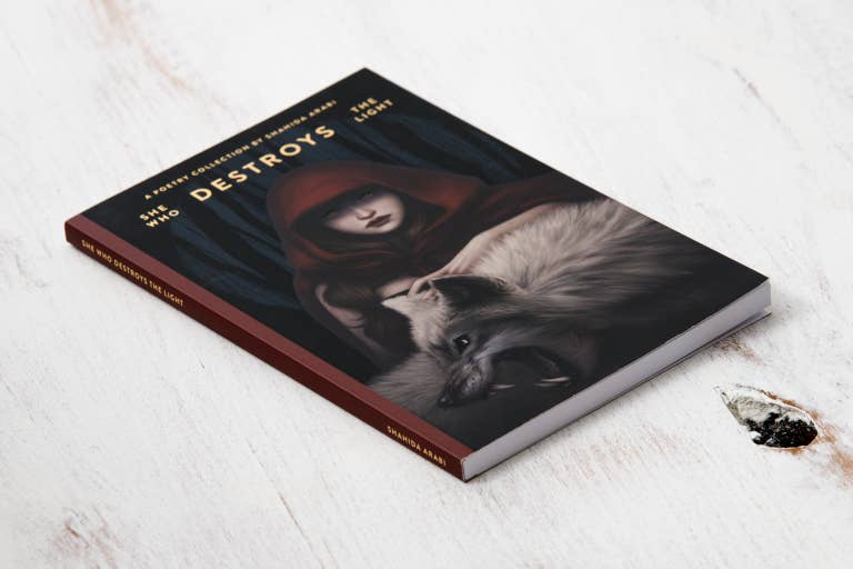 She Who Destroys The Light: Fairy Tales Gone Wrong - book