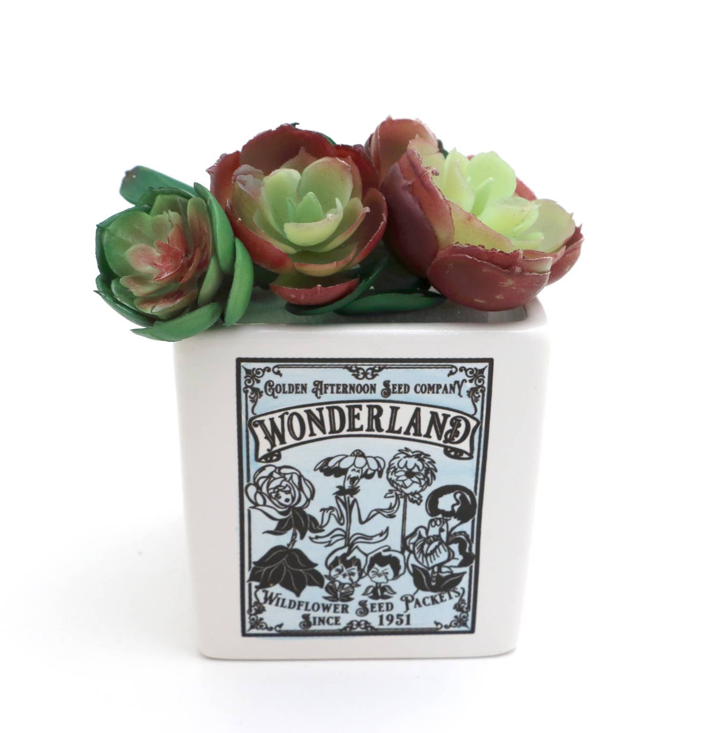 Alice in Wonderland, indoor planter, container