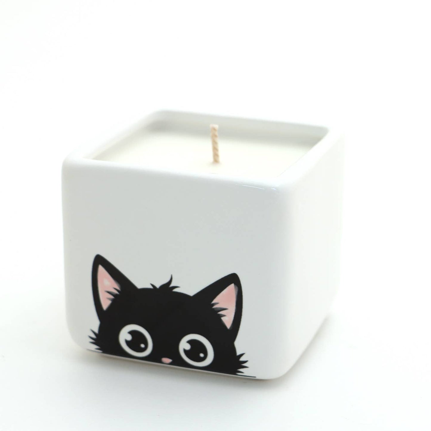 Hand poured 8 oz. soy unscented candle, Black Cat