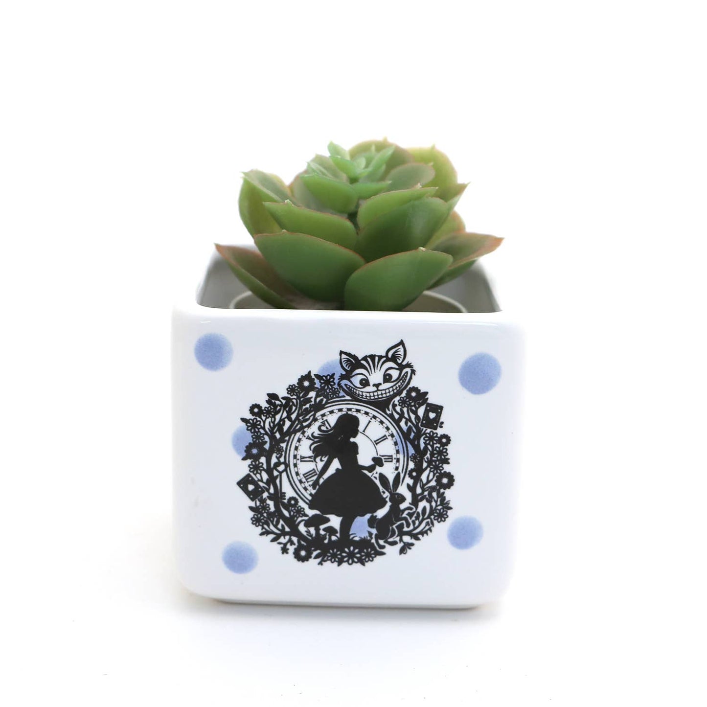 Alice in Wonderland mini planter, small succulent planter