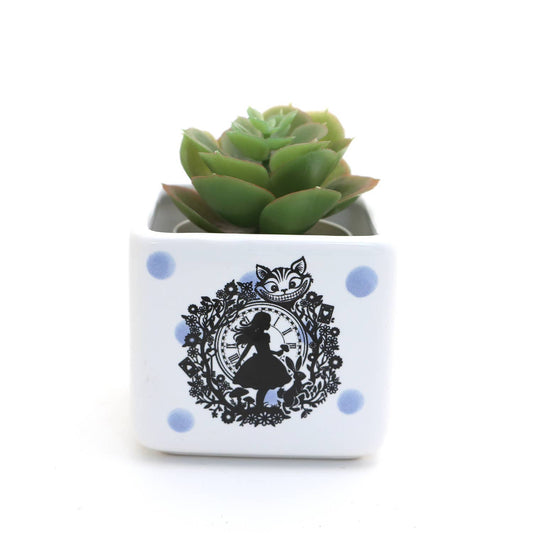 Alice in Wonderland mini planter, small succulent planter