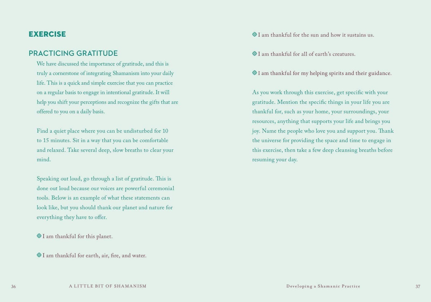 A Little Bit of Shamanism by Ana Campos