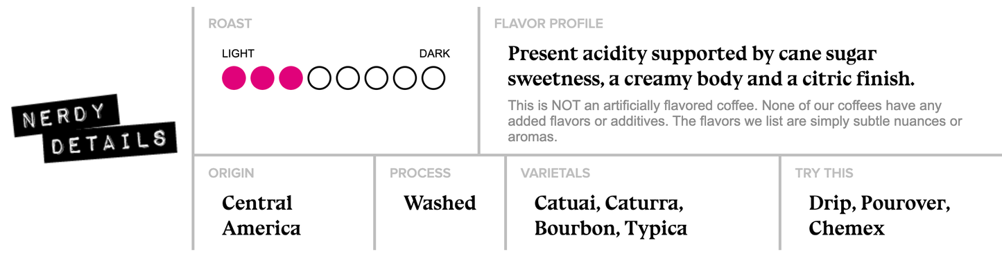 Mind Warp Ground Coffee