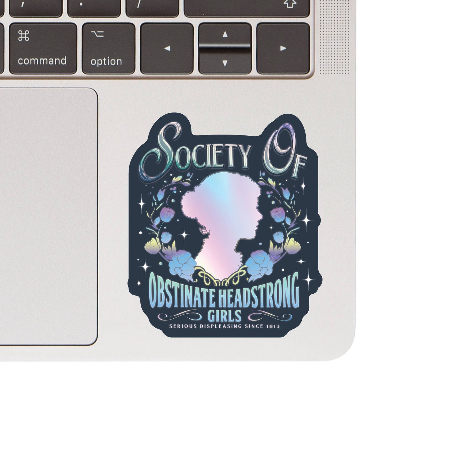 Jane Austen Feminist Book Read High Quality Vinyl Sticker