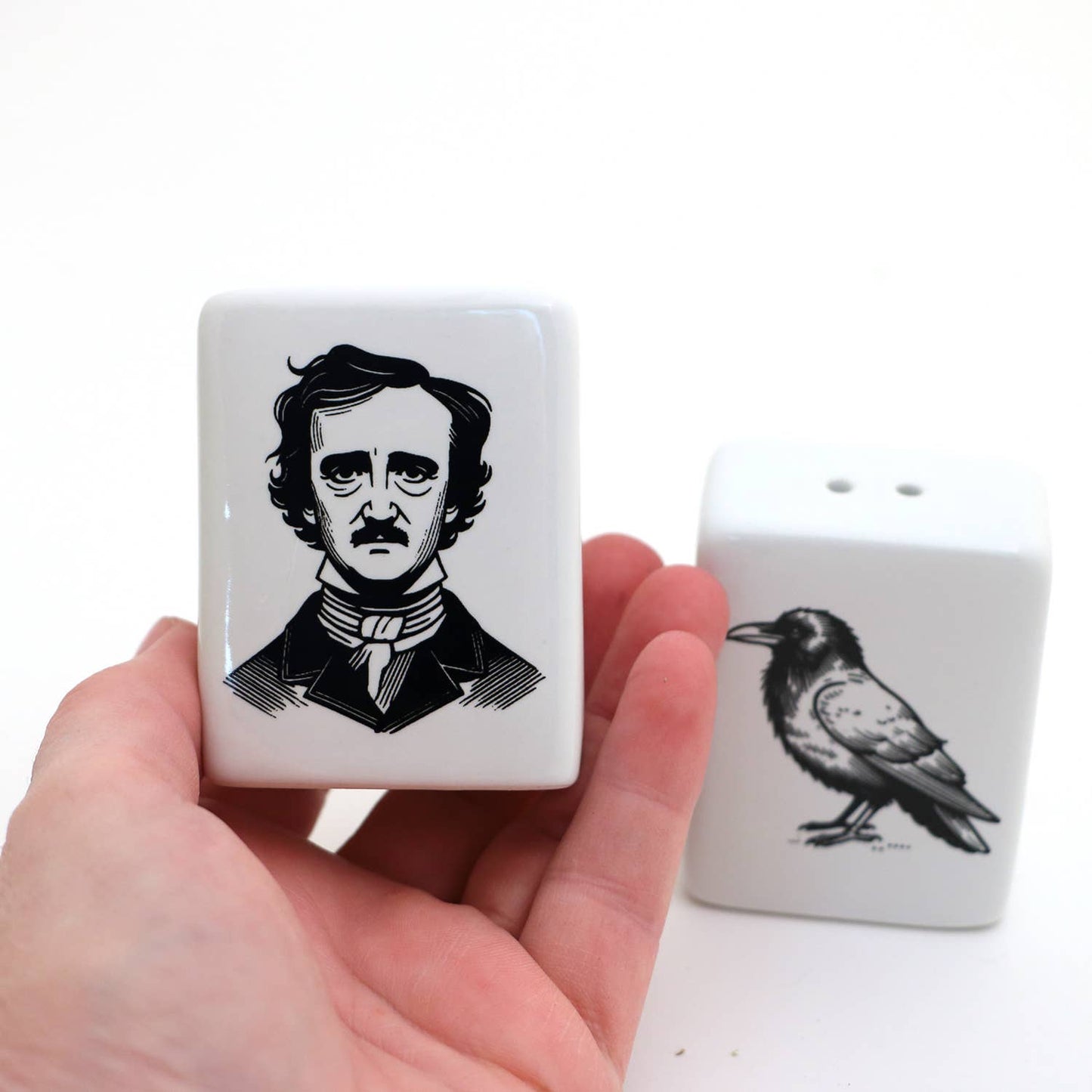 Edgar Allan Poe salt and pepper shakers, Poe and Raven, gift