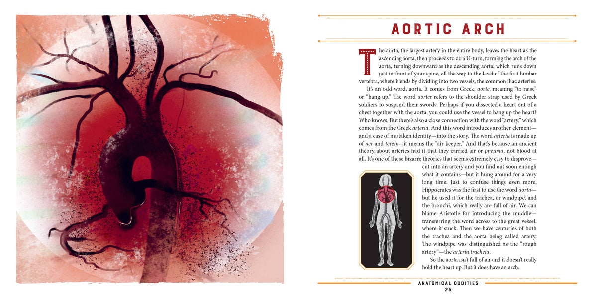 Anatomical Oddities