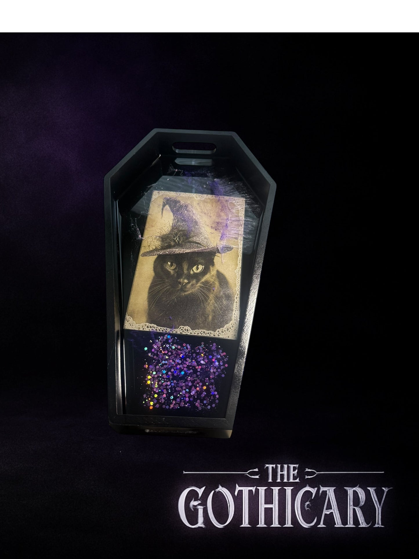 Resin Coffin - black cat