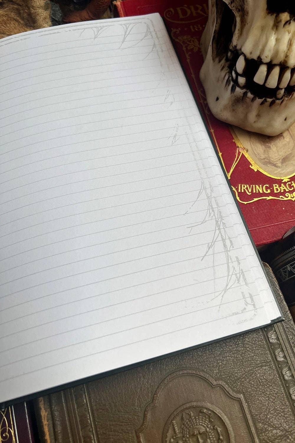 Edgar Allan Poe Raven Journal
