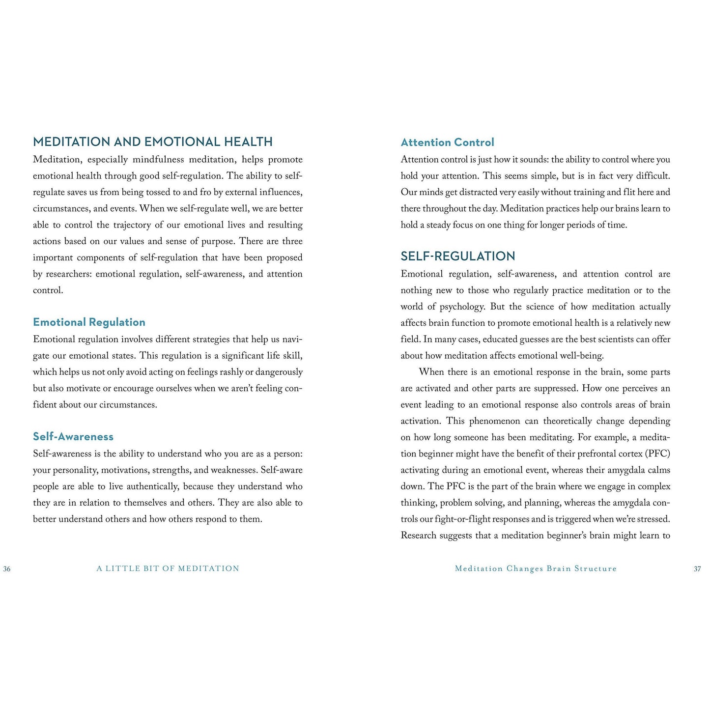 A Little Bit of Meditation by Amy Leigh Mercree