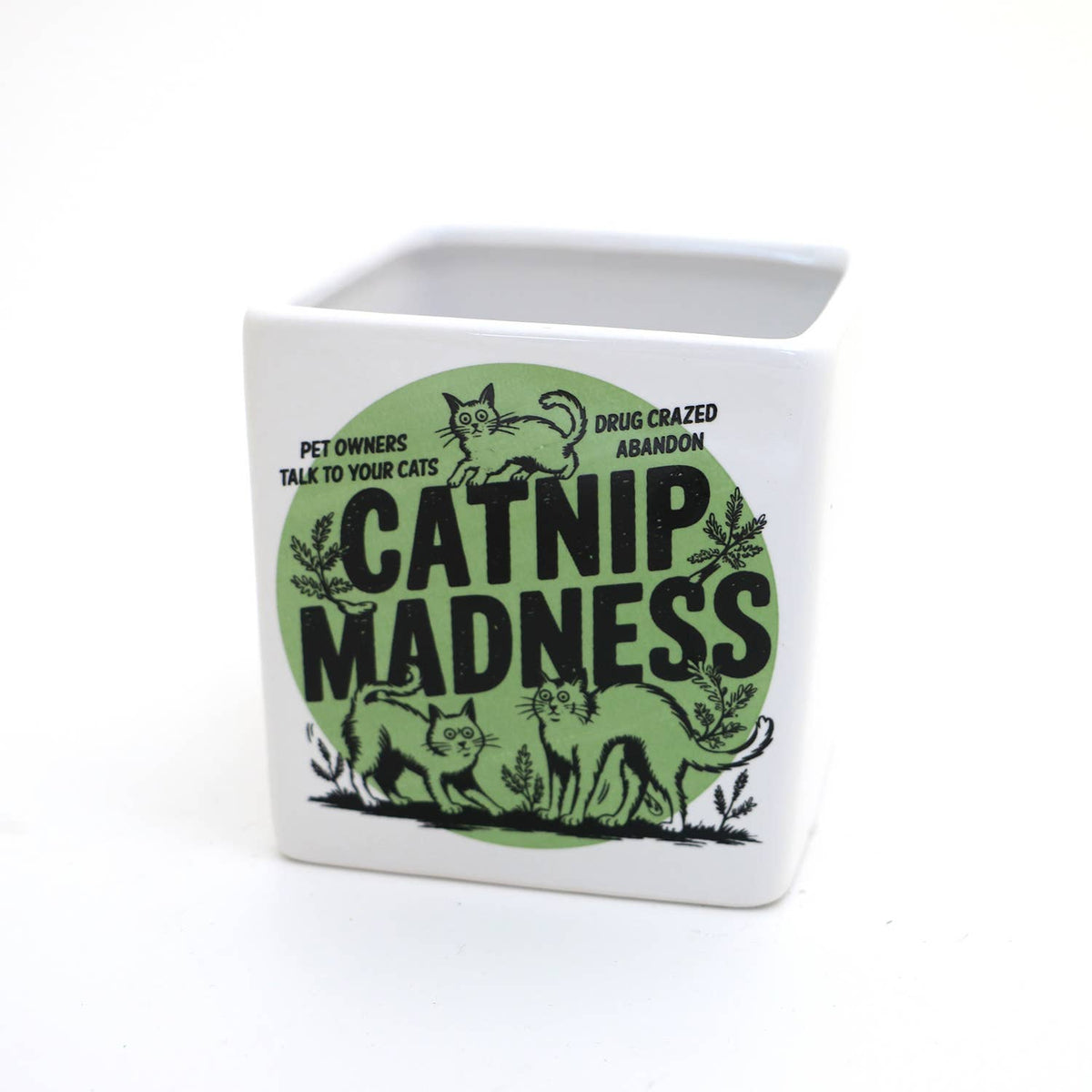 Catnip Madness Cat planter, small indoor planter