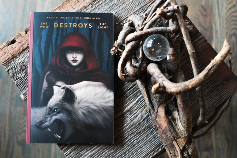 She Who Destroys The Light: Fairy Tales Gone Wrong - book