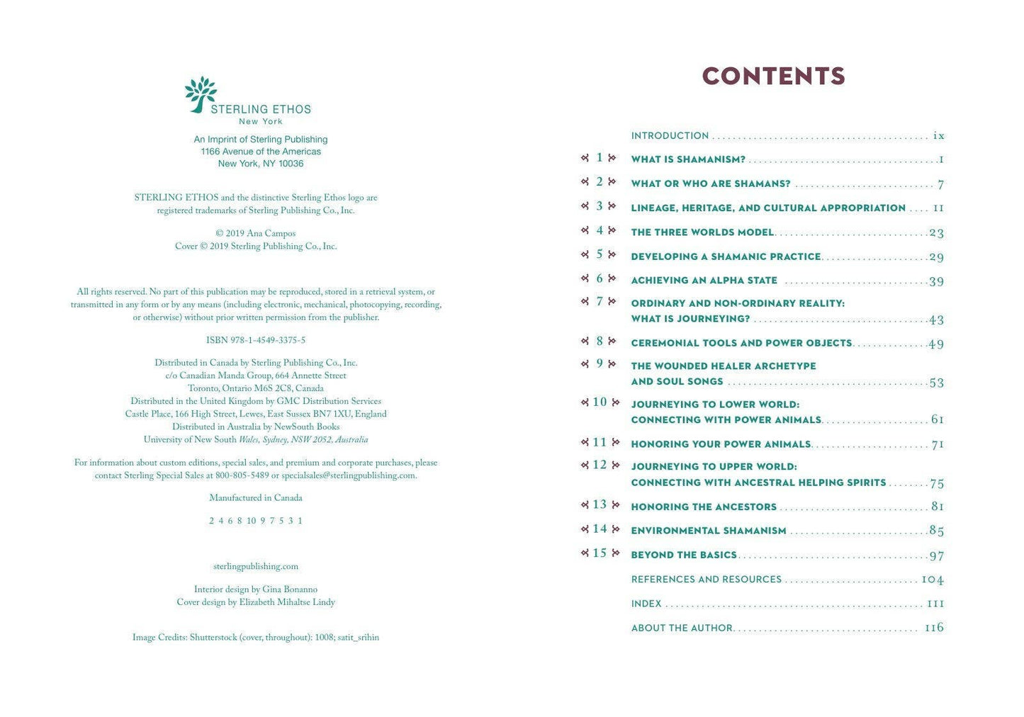 A Little Bit of Shamanism by Ana Campos