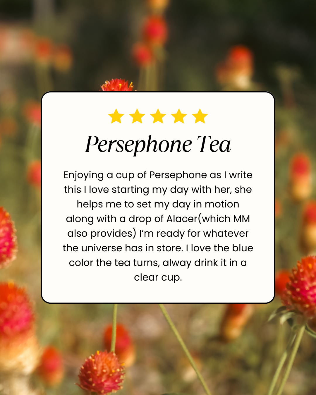 Persephone Tea (Spring tonic, tonifying, mineral and vitamin rich)